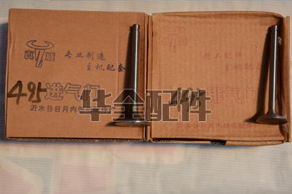 495系列 進(jìn)氣門