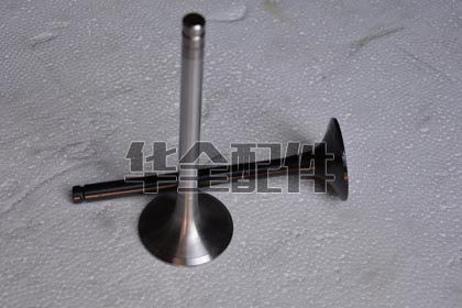 濰柴進(jìn)排氣門